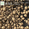 日本栃木赤玉土 进口颗粒多肉植物花土硬质多肉土铺面土