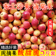 东北海棠果新鲜沙果现摘小苹果当季酸甜脆孕妇水果糖心小沙果5斤