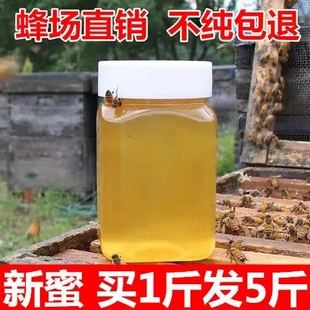 蜂蜜纯正天然农家自产结晶，土蜂蜜百花蜜，洋槐蜜枣花蜜500克1斤