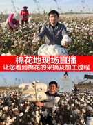 新疆棉被冬被加厚保暖棉花被子手工单人棉絮棉胎被芯褥子纯棉垫被