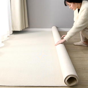 纯色地毯满铺工作室摄影棚毛坯水泥地整铺米白奶油(白奶油，)风卧室客厅地垫