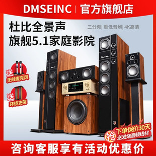 DMSEINC 名门9号5.1家庭影院音响套装家用KTV客厅无线环绕音箱