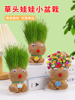 草头娃娃创意小盆栽办公室可爱植物趣味长草娃娃儿童水培绿植客厅