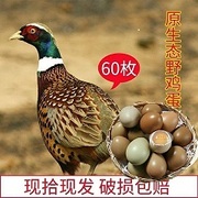 30～60枚七彩山鸡蛋杂粮散养零添加鸡蛋新鲜土鸡蛋农家草鸡蛋
