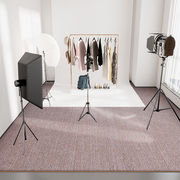 摄影棚地毯灰色拍照专用地毯背景布直播(布直播)间满铺办公客厅垫简约高级