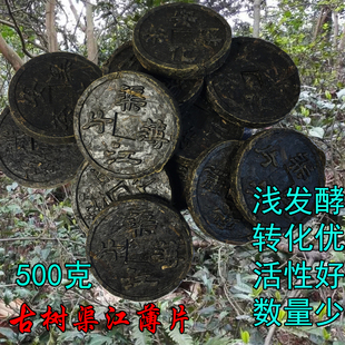 正宗湖南安化黑茶古树野生大叶500g渠江薄片，直泡散装农家纯料黑茶