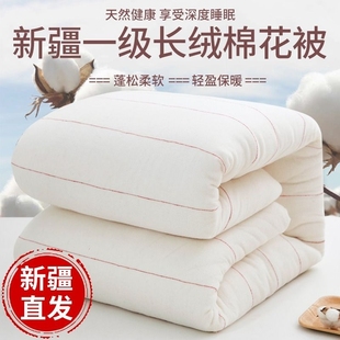 新疆一级长绒棉被棉花被子，被芯棉絮床垫被，褥子全棉纯棉花冬被春秋