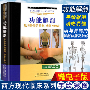 功能解剖 肌与骨骼的解剖 功能及触诊 人体解剖彩色学图谱奈特人体彩色解剖图谱人体解剖书 运动解剖学书骨骼肌肉体育关节运动