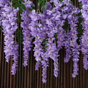 仿真阿勃勒巨型紫藤花，长枝塑料假花绢花室内客厅，垂吊花藤拍照装饰