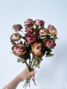 干花花束云南稀有玫瑰复古彩色玫瑰干花家居花束摆设客厅装饰摆件