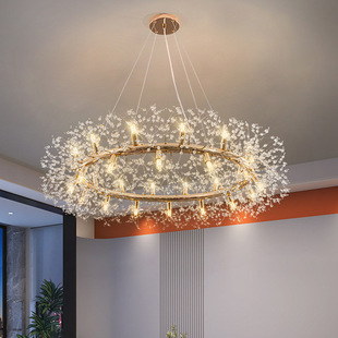 蒲公英吊灯水晶灯客厅灯，卧室餐厅厨房现代简约创意，圆环形烟花灯具