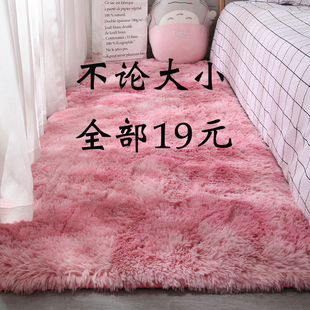 地毯卧室床边毯厚可睡可坐少女客厅毛绒毯(毛绒毯)地垫家用坐垫房间垫子小