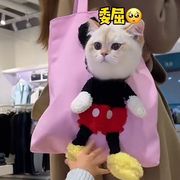 猫头手提购物袋猫包猫咪包包，网红露头单肩包伸头外出狗包可爱帆布