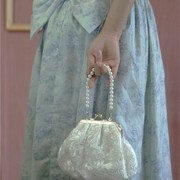 手包女士精致高档女手拿包钱包小包，高级感小众包包珍珠手提包