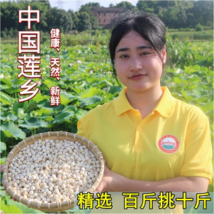 新货湘潭特产无芯白莲农家自产干货，去芯磨皮白莲子(白莲子)寸三莲湘莲500g