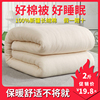 新疆长绒纯棉花被春秋床垫垫被手工全棉被芯加厚保暖棉胎棉絮褥子