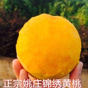 特大果自家果园树熟正宗锦绣黄桃新鲜水果单果约5两净重6斤包甜