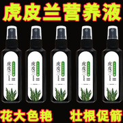 虎皮兰肥料专用肥营养液虎尾兰金边家用盆栽植物通用土水培免稀释