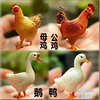 母鸡公鸡鹅鸭子，仿真动物模型摆件，公仔农场家禽动物模型儿童玩具
