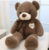 毛绒玩偶公仔泰迪熊毛绒公仔teddy bear丝带熊布娃娃结婚