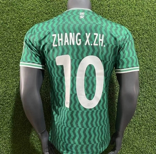 2024年中超北京国安主场球衣球迷版国安绿色短袖球迷服可定制