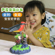 儿童玩具3-6周岁7岁仿真会叫会动电动声控感应美丽小鸟鹦鹉