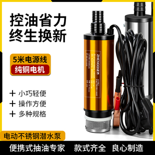 电动抽油泵12V24伏220V柴油汽油通用油抽子抽水泵小型抽油神器