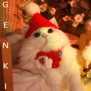 元気喵丨宠物圣诞礼物猫咪，圣诞围脖狗狗饰品可爱猫咪，衣服针织项圈