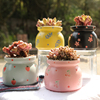 简约网红多肉植物花盆陶瓷，奶罐清新室内手绘创意，个性韩式白瓷花器