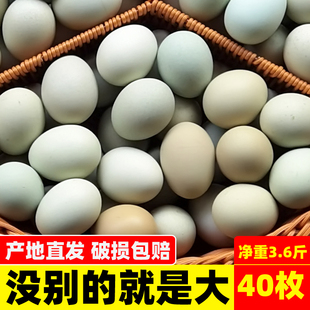 知楚大乌鸡蛋40枚整箱新鲜绿壳蛋正宗农家土鸡蛋跑山鸡蛋鲜鸡蛋