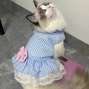 猫咪衣服夏季薄款宠物蓝猫英短幼猫公主蕾丝裙宠物狗狗小型犬裙子