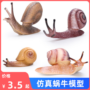 实心仿真蜗牛模型昆虫动物玩具小蜗牛套装认知塑料摆件儿童