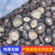 香菇干货特产干香菇，250g新货野生蘑菇，冬菇无根土特产山货散装