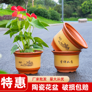 花盆陶瓷家用盆景兰花，花盆紫砂陶瓷，盆大号处理室内陶盆