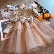 韩国童装女童连衣裙秋冬装，洋气高级感蓬蓬纱，礼服儿童加绒公主裙子