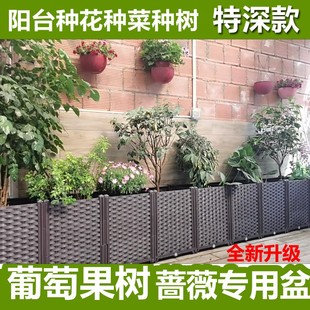 阳台种菜盆特大蔬菜，种植箱长条花槽长形屋顶菜园塑料深花盆