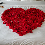 情人节LOVE摆设造型布仿真玫瑰花片告白表白求婚酒店浪漫爱心花瓣