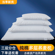 荞麦皮枕头纯荞麦壳枕，成人颈椎枕全荞麦，护颈枕芯荞麦枕头送枕套