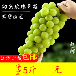 马陆葡萄 上海巨峰葡萄巨玫瑰奶油阳光玫瑰新鲜水果整箱上海