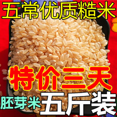 黑龙江糙米粳米煮粥低脂