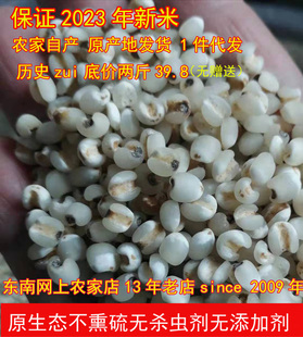 明清贡品特级金沙薏米仁新鲜香糯国家保护产地直发1000g新货