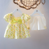 女童夏装连衣裙套装1-3岁女宝宝碎花裙两件套2婴儿短袖裙短裤衣服