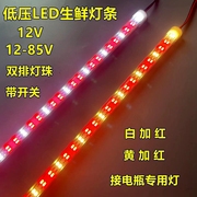 夜市电瓶灯低压12v48v60v红色led灯条照水果生鲜熟食卤味夜市灯管