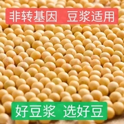 东北农家黄豆500g新黄豆(新黄豆)颗粒饱满黄豆，打豆浆专用黄豆多规格可选