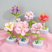 小颗粒拼装积木芙蓉花朵，玫瑰花束盆栽，摆件益智玩具女孩子礼物老师