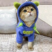 猫咪衣服秋冬装保暖加厚幼猫布偶蓝猫英短防掉毛猫猫宠物潮款卫衣