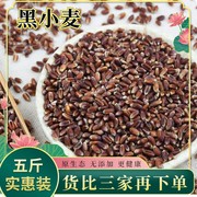 新黑小麦5斤1斤农家黑麦粒，带皮黑小麦粒，发小麦草打豆浆煮粥