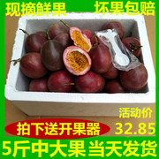 现摘健汇百香果新鲜高山大红鸡蛋果西番莲热带特产5斤中大果