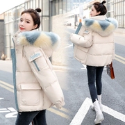 冬装chic羽绒棉服2022年女韩版宽松棉衣，减龄小棉袄短款面包服