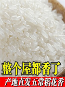 五常稻花香大米10斤20斤长粒香大米东北大米，蟹田大米新米50斤